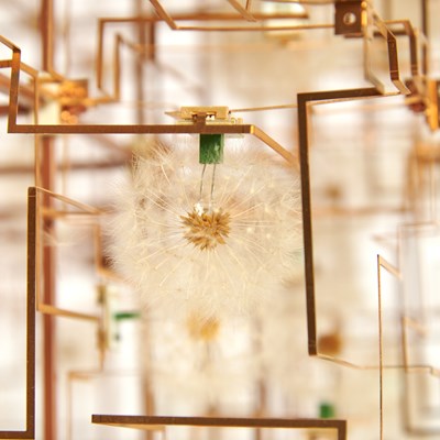 Lot 263 - Dandelion Seed, Phosphorous Bronze and LED Light Sculpture Entitled "Fragile Future Drift Flowers"
