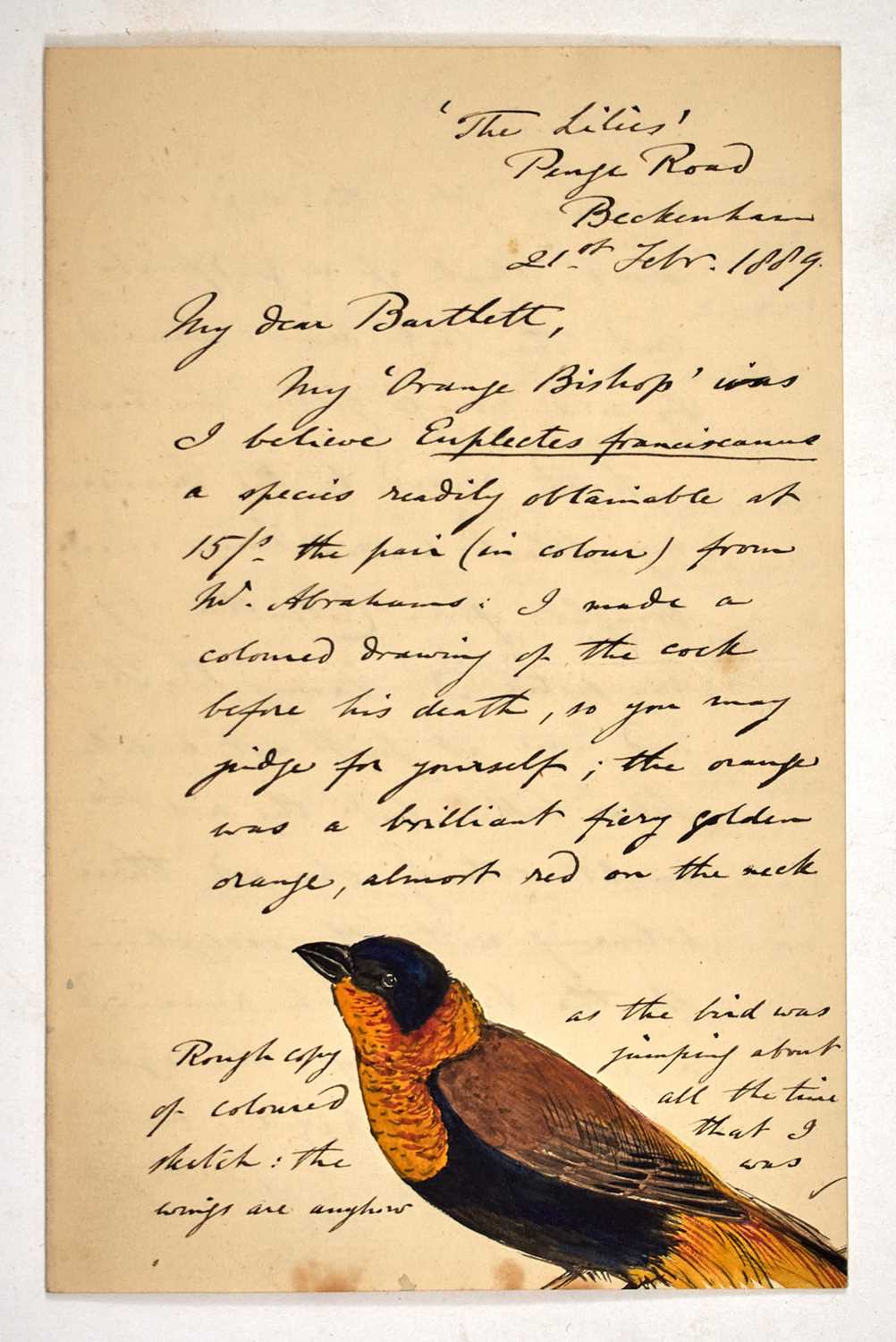 Lot 71 - WATERHOUSE, G.R. Catalogue of the Mammalia...