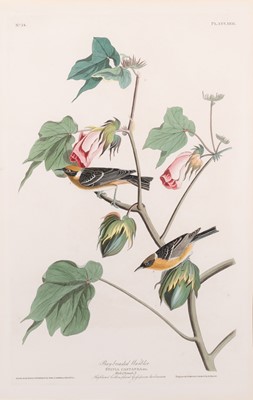 Lot 111 - After John James Audubon (1785-1851)