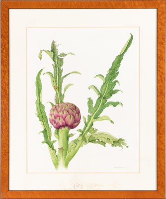 Lot 65 - Group of Six Botanical and Bird Paintings