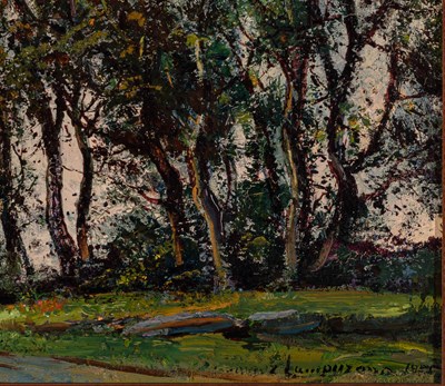 Lot 559 - Ricardo Gomez Campuzano