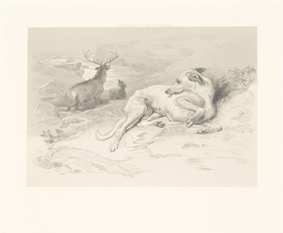 Lot 516 - Sir Edwin Landseer (1802-1873)