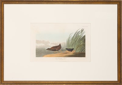 Lot 112 - After John James Audubon (1785-1851)