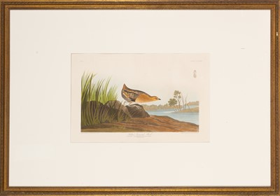 Lot 112 - After John James Audubon (1785-1851)