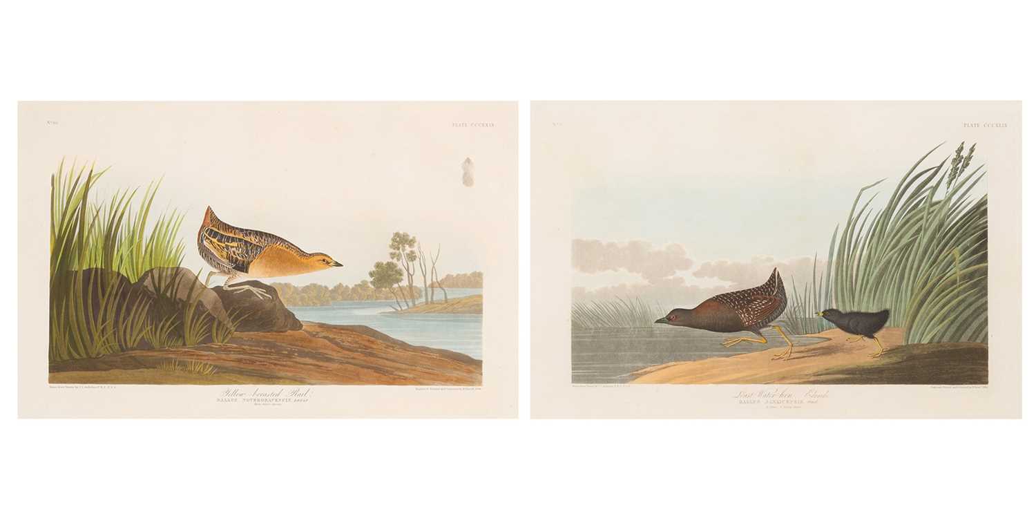 Lot 112 - After John James Audubon (1785-1851)