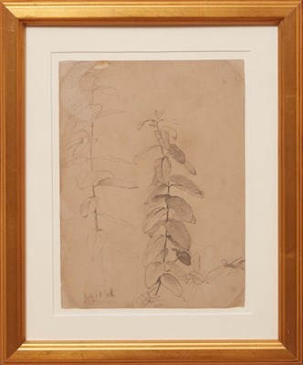 Lot 34 - William Trost Richards