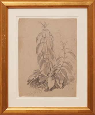 Lot 34 - William Trost Richards
