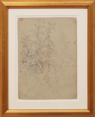 Lot 34 - William Trost Richards