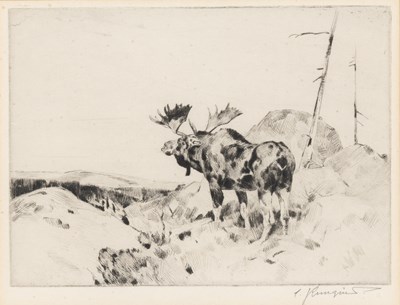 Lot 115 - Carl Rungius (1869-1959)