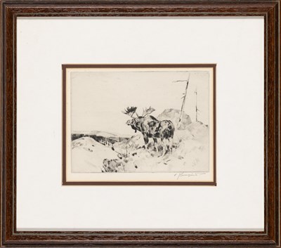 Lot 115 - Carl Rungius (1869-1959)