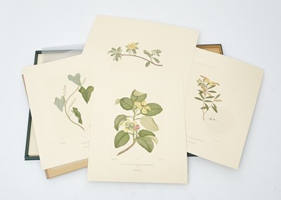 Lot 74 - A Complete Set of Banks' Florilegium