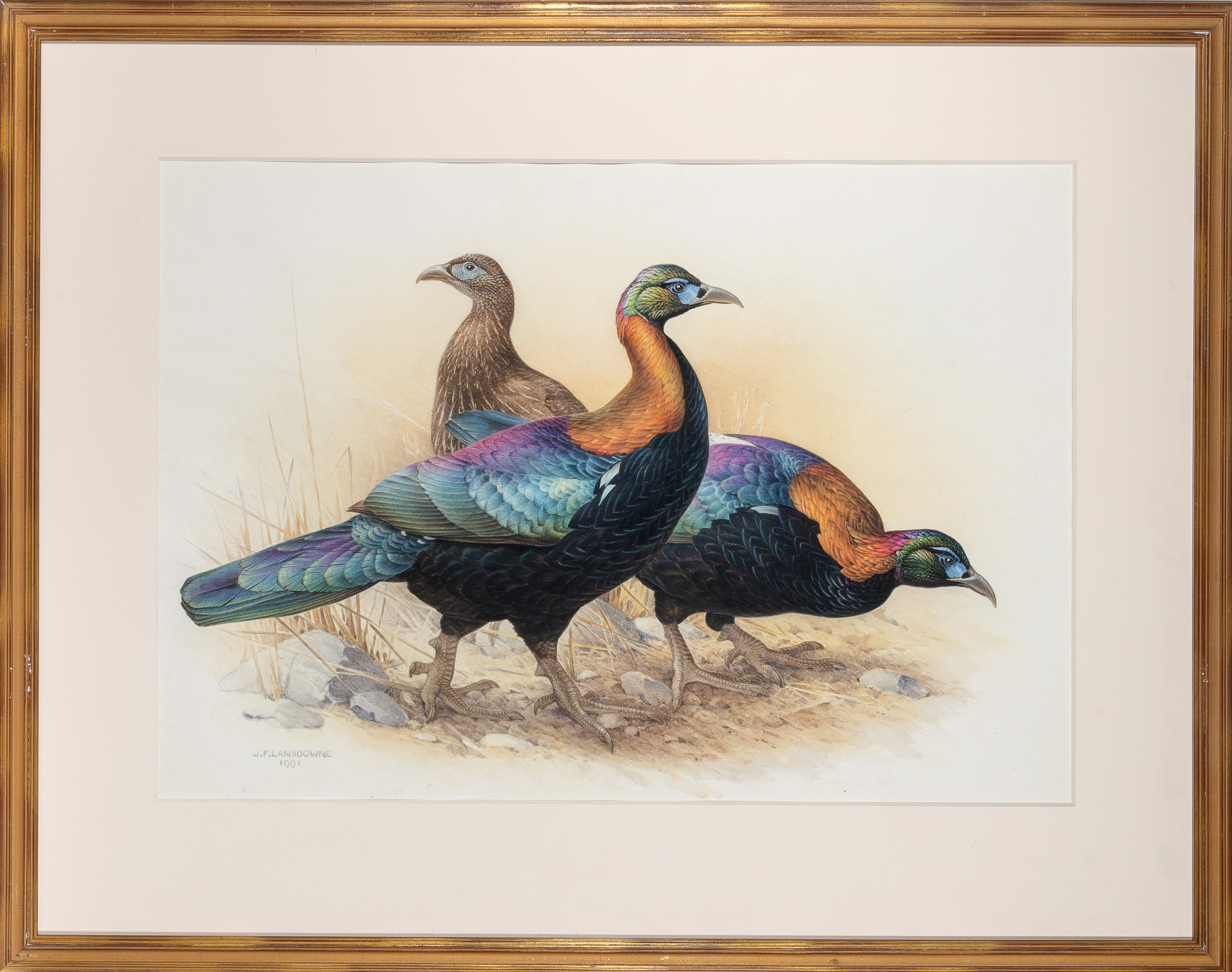 Lot 156 - The Rare Birds of China by J. Fenwick