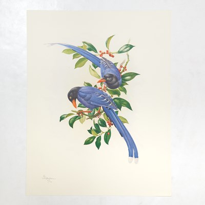 Lot 112 - Set of Limited Edition Prints for The Rare Bird of China by Fenwick Lansdowne