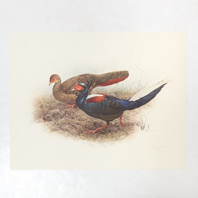 Lot 88 - Set of Limited Edition Prints for The Rare Bird of China by Fenwick Lansdowne