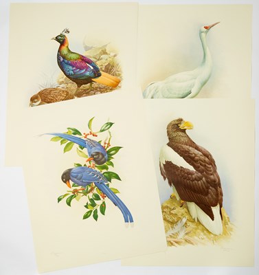 Lot 8 - The Rare Birds of China by Lansdowne, with an Original Watercolor from The Rare Birds of China