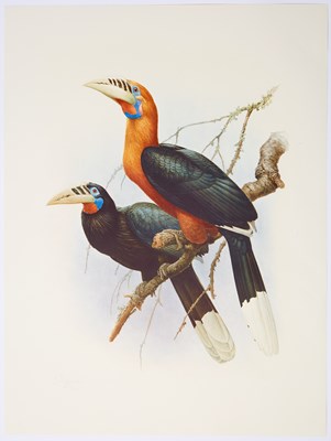 Lot 8 - The Rare Birds of China by Lansdowne, with an Original Watercolor from The Rare Birds of China