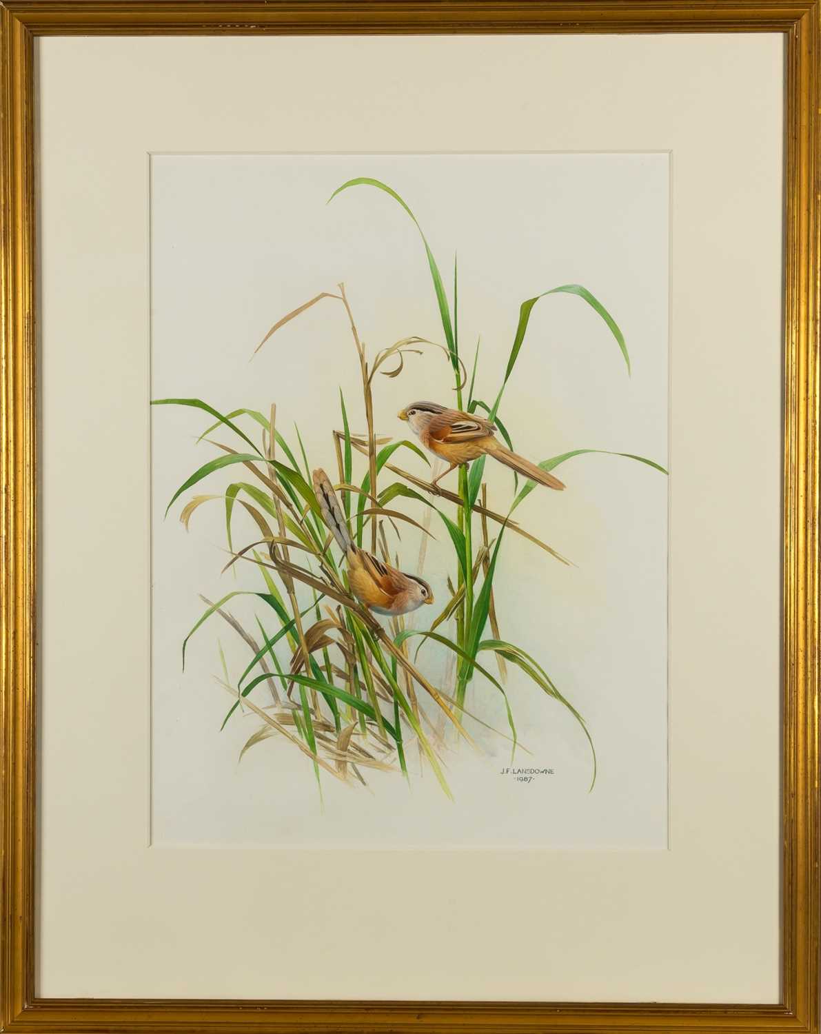 Lot 8 - The Rare Birds of China by Lansdowne, with an Original Watercolor from The Rare Birds of China