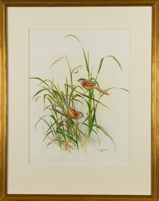 Lot 8 - The Rare Birds of China by Lansdowne, with an Original Watercolor from The Rare Birds of China