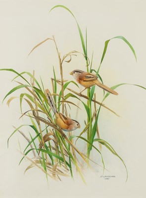 Lot 8 - The Rare Birds of China by Lansdowne, with an Original Watercolor from The Rare Birds of China
