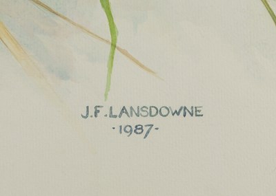 Lot 8 - The Rare Birds of China by Lansdowne, with an Original Watercolor from The Rare Birds of China