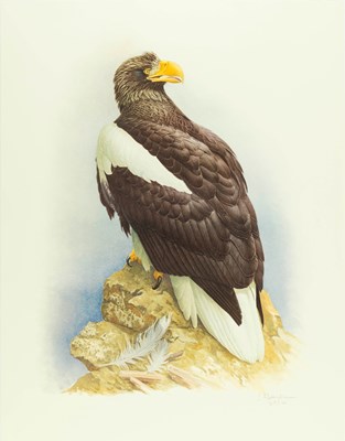 Lot 77 - The Rare Birds of China by Lansdowne, with an original watercolor