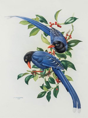 Lot 77 - The Rare Birds of China by Lansdowne, with an original watercolor