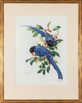 Lot 77 - The Rare Birds of China by Lansdowne, with an original watercolor