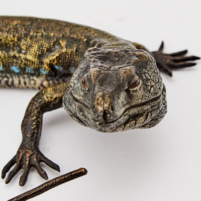 Lot 334 - Austrian Cold Painted Bronze Figure of a Lizard