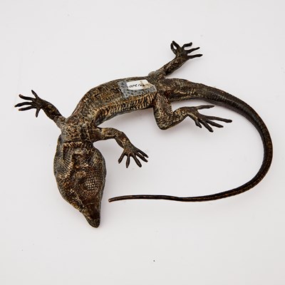Lot 334 - Austrian Cold Painted Bronze Figure of a Lizard