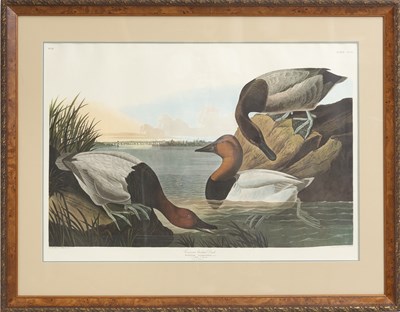 Lot 102 - After John James Audubon