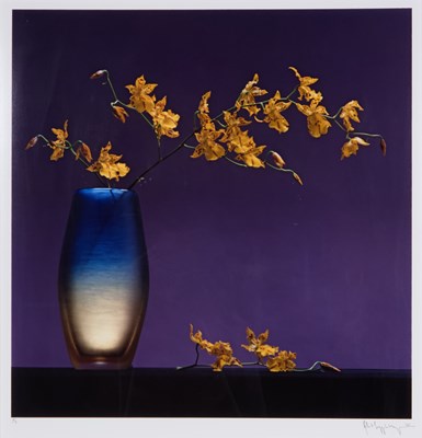 Lot 217 - Robert Mapplethorpe, Flowers in Vase, 1985