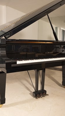 Lot 211 - Yamaha Model C7 Ebonized Grand Piano