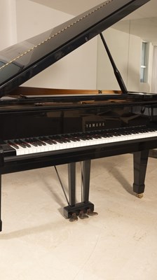 Lot 211 - Yamaha Model C7 Ebonized Grand Piano