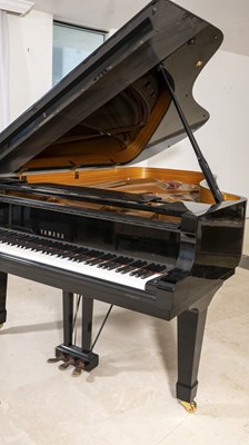 Lot 211 - Yamaha Model C7 Ebonized Grand Piano