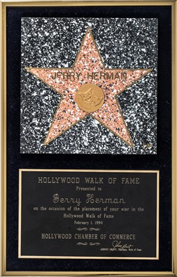 Lot 208 - Two Hollywood Walk of Fame Awards