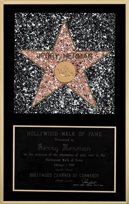 Lot 208 - Two Hollywood Walk of Fame Awards