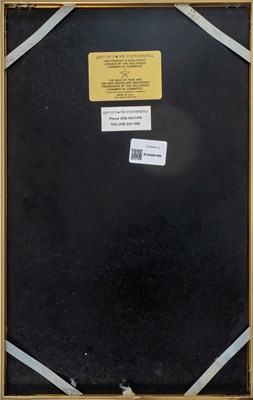 Lot 208 - Two Hollywood Walk of Fame Awards