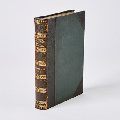 Lot 155 - An uncommon work on English paleontology and geology