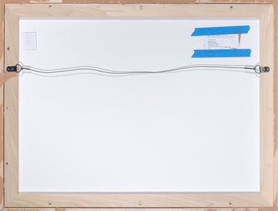 Lot 579 - Gunther Gerzso