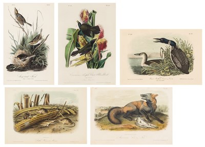 Lot 114 - After John James Audubon (1785-1851)