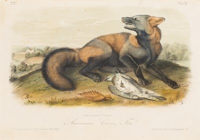 Lot 114 - After John James Audubon (1785-1851)