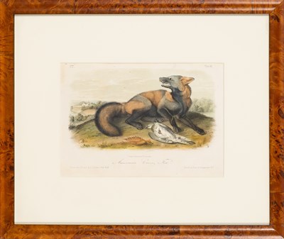 Lot 114 - After John James Audubon (1785-1851)