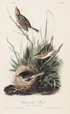Lot 114 - After John James Audubon (1785-1851)
