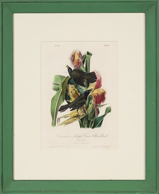 Lot 114 - After John James Audubon (1785-1851)