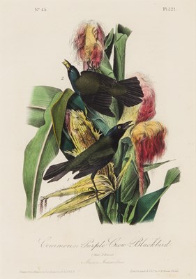 Lot 114 - After John James Audubon (1785-1851)