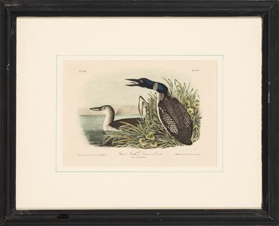 Lot 114 - After John James Audubon (1785-1851)