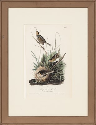 Lot 114 - After John James Audubon (1785-1851)