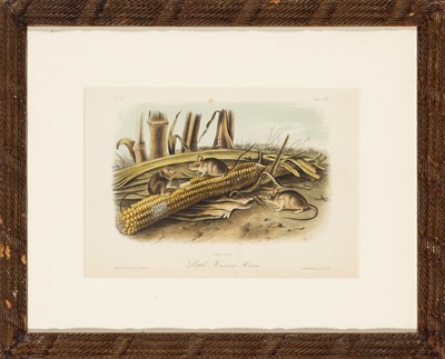 Lot 114 - After John James Audubon (1785-1851)