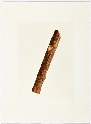 Lot 55 - Studio Voltaire Portfolio 2007