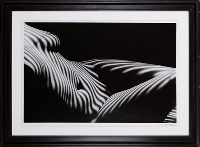 Lot 168 - Lucien Clergue, Nu zèbré, New York City, 2007